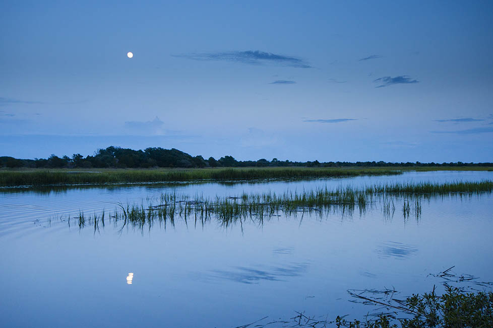 Ocean Park Kiawah Island Real Estate
