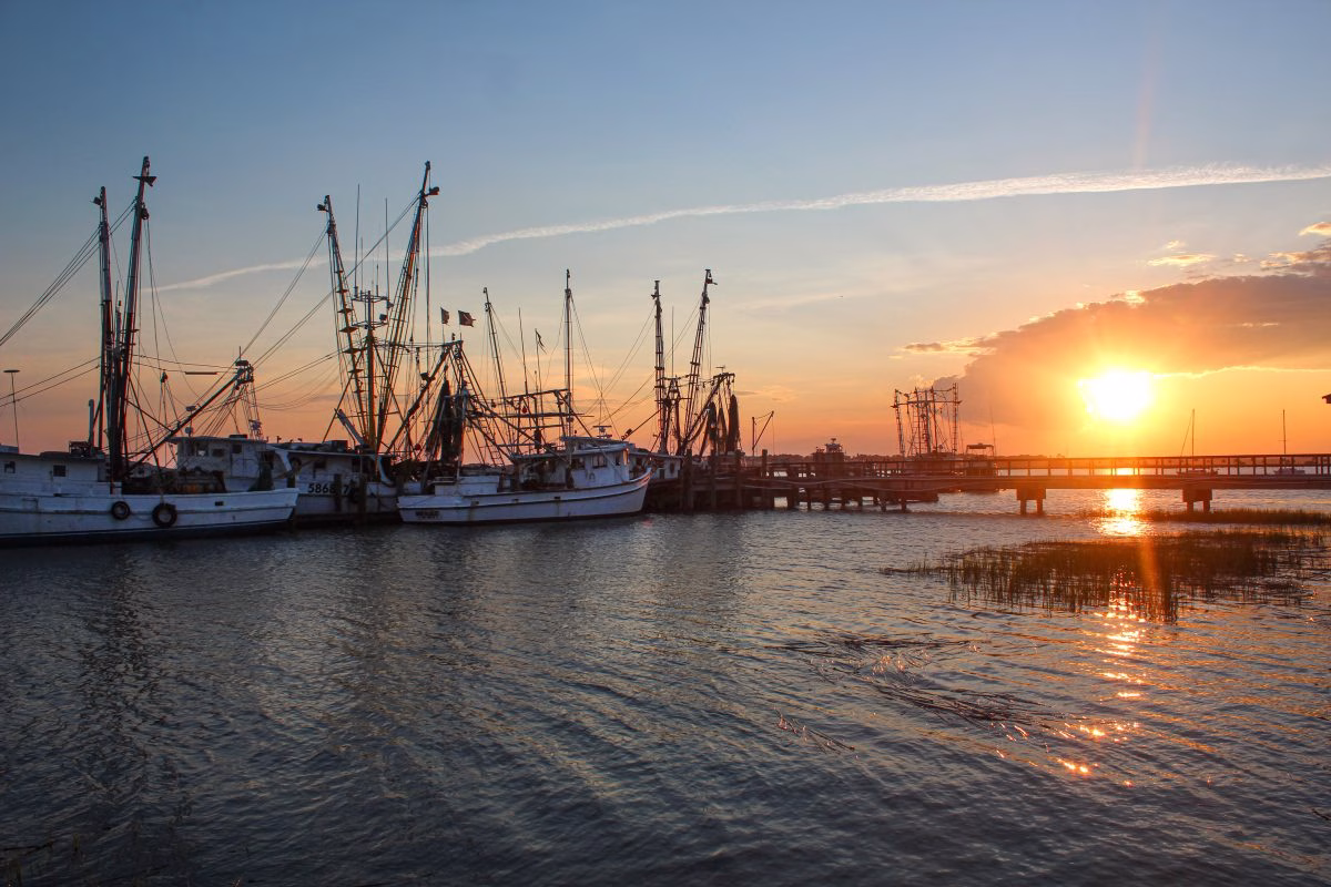 south carolina fishing trips