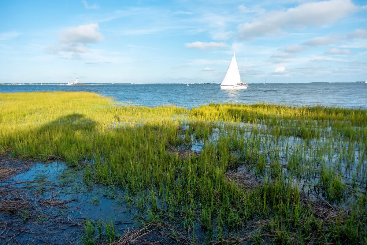 south carolina fishing trips