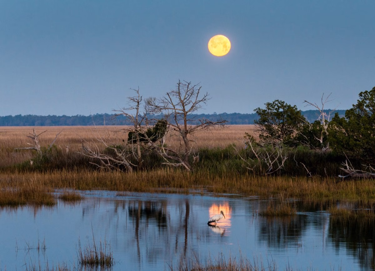 kiawah island nightlife