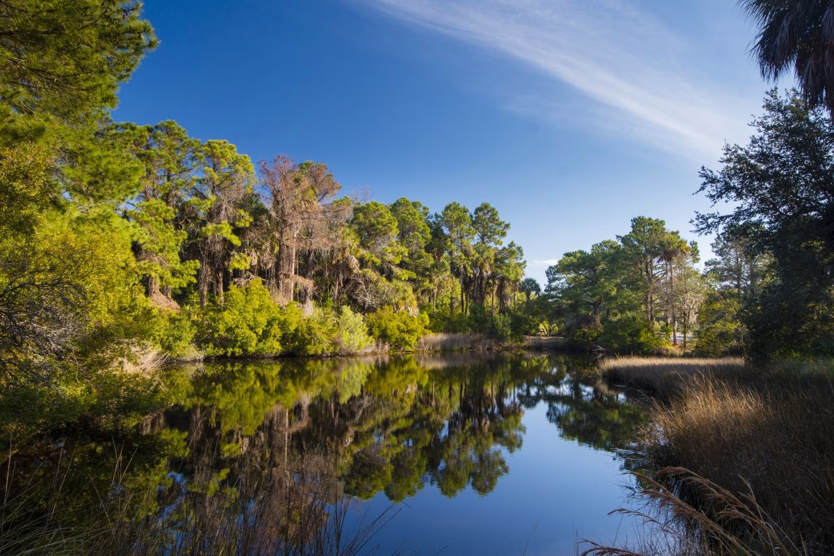 kiawah island fishing
