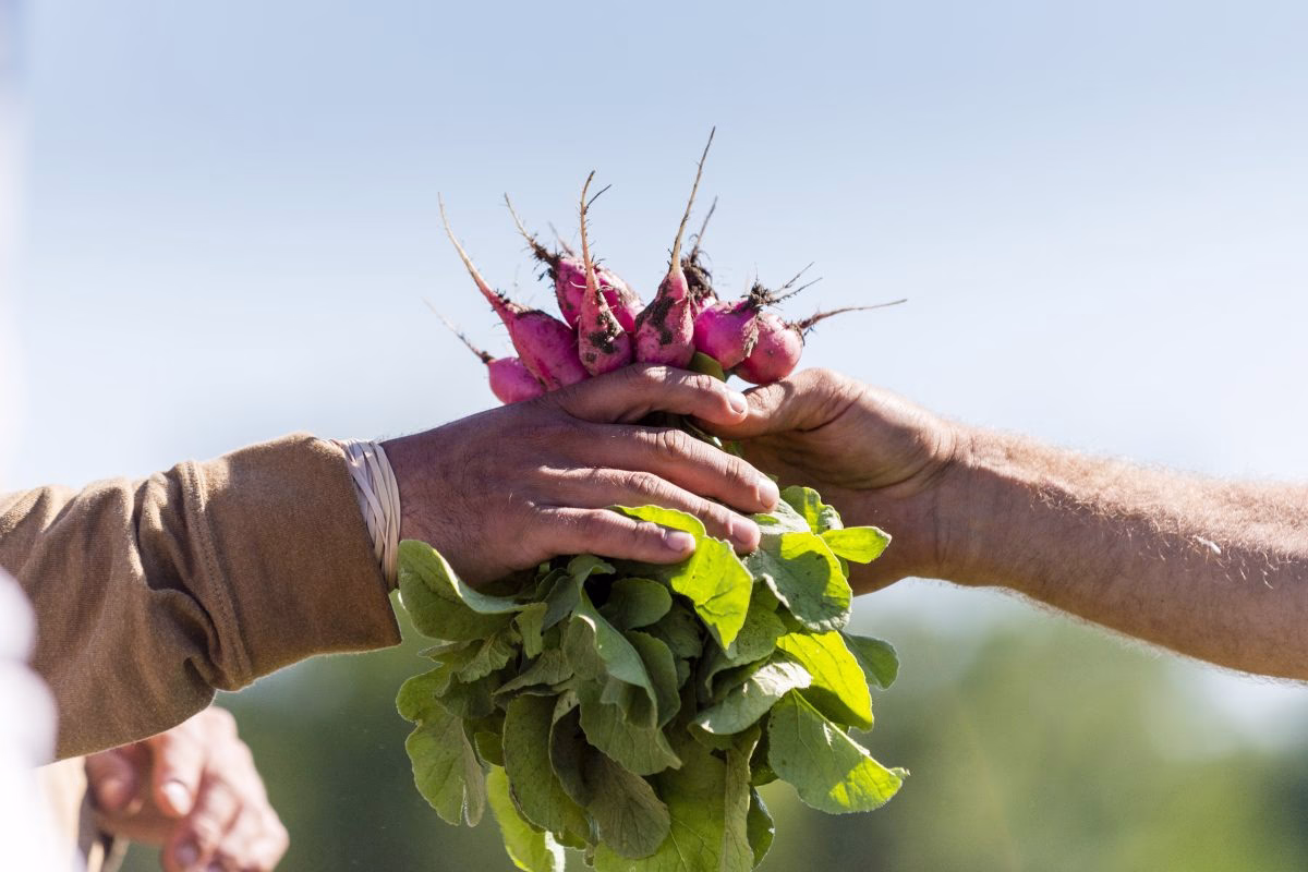 locally-sourced produce