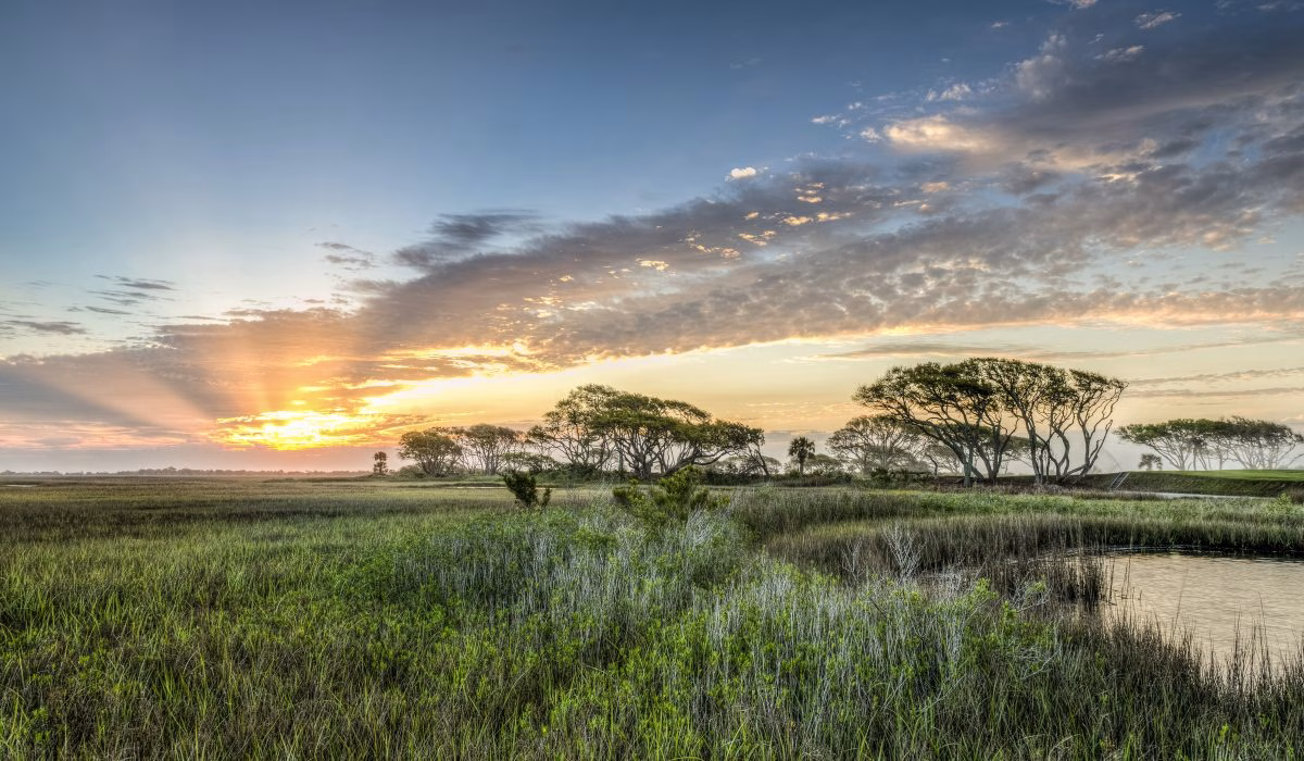 kiawah island real estate