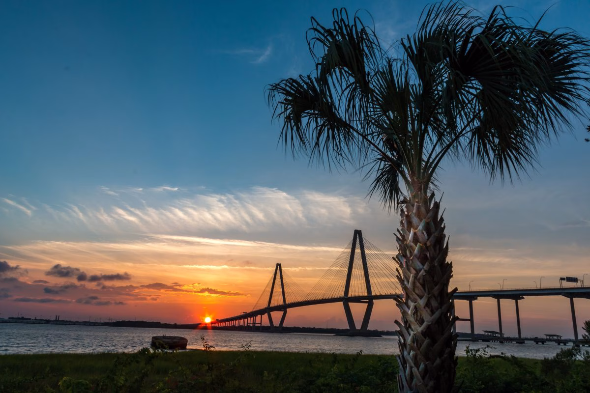 south carolina native plants