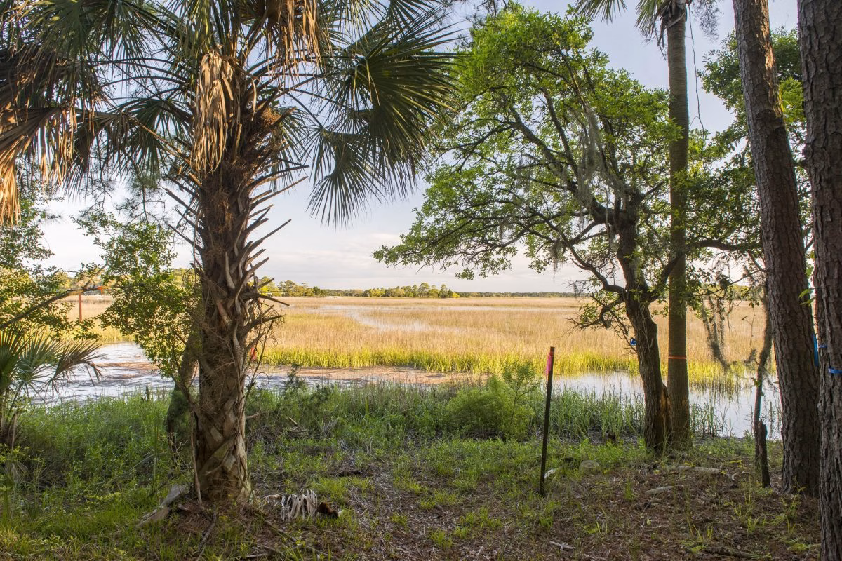 kiawah river