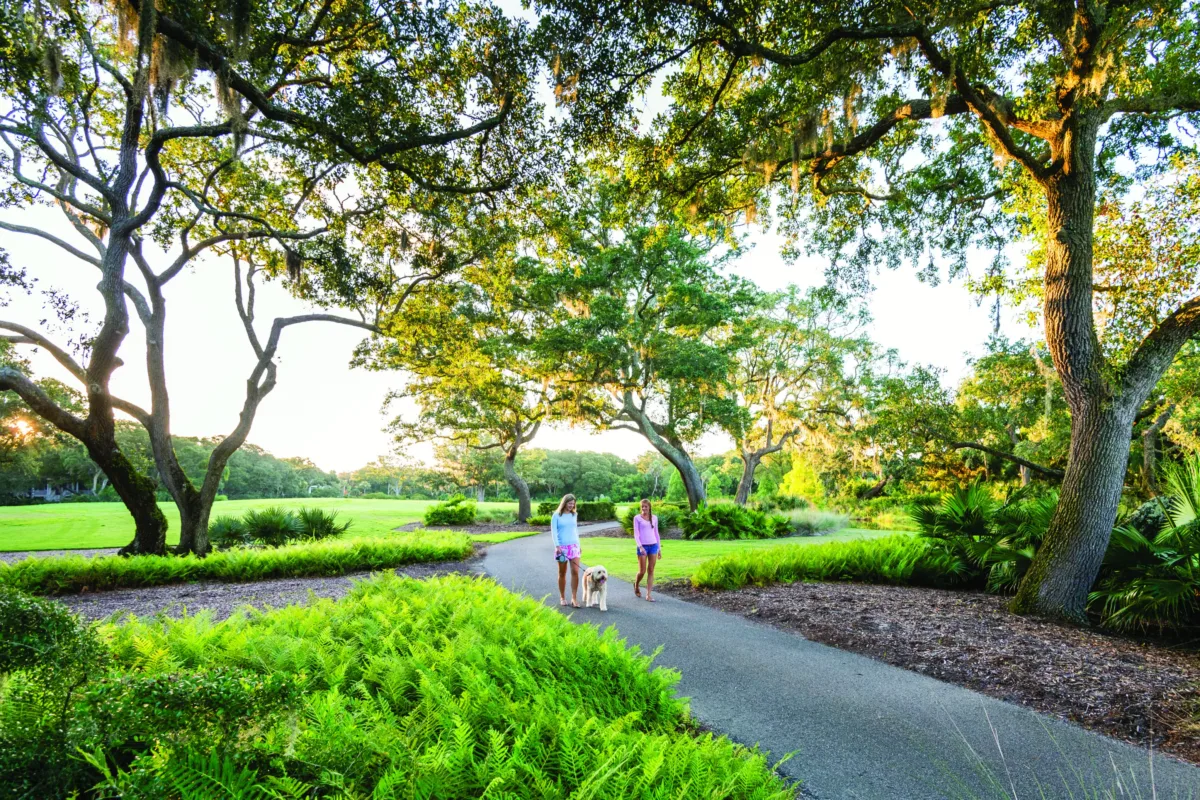 Kiawah island wellness