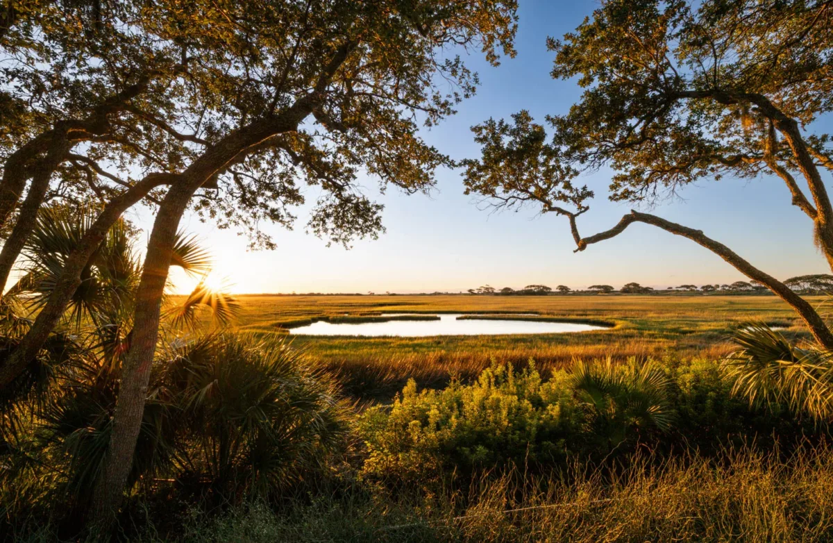 Kiawah island homes for sale
