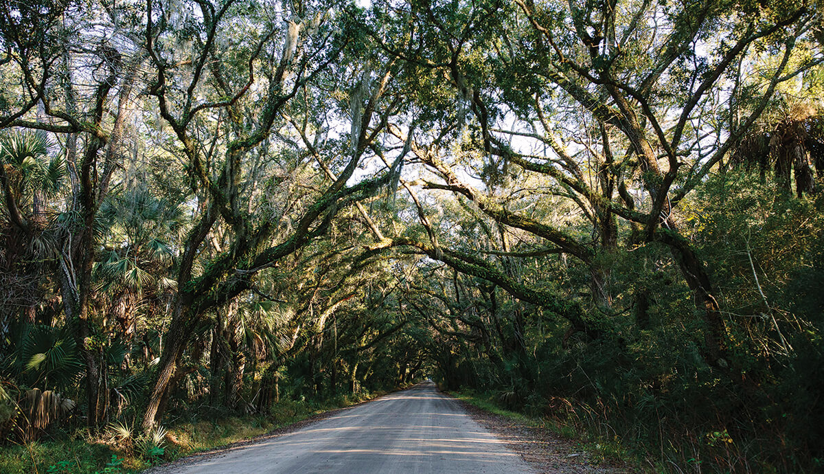 Lowcountry Day Trips