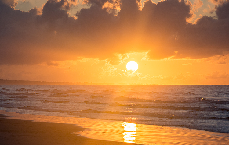 Kiawah Beach Sunset