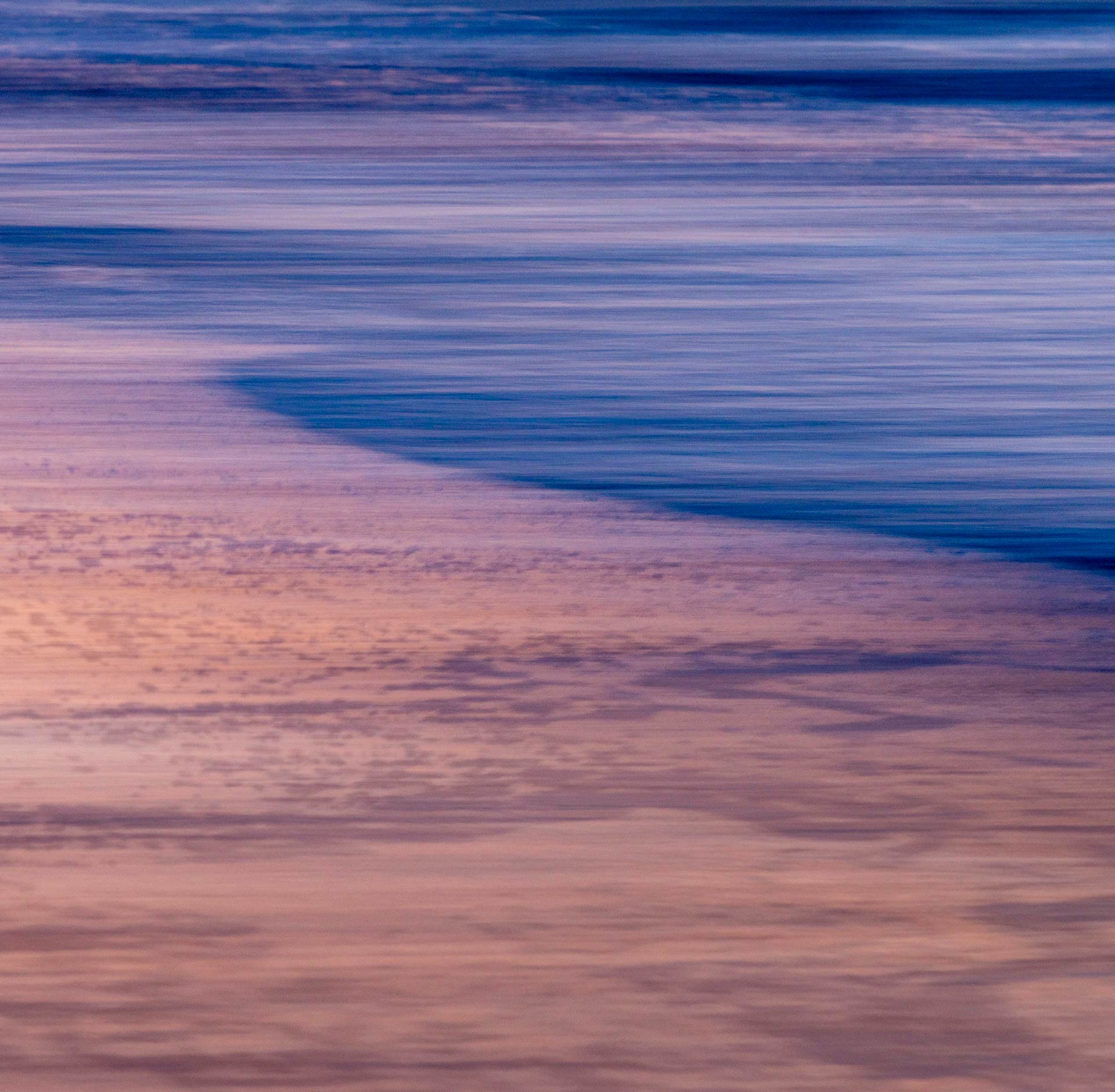 Osprey Beach macro