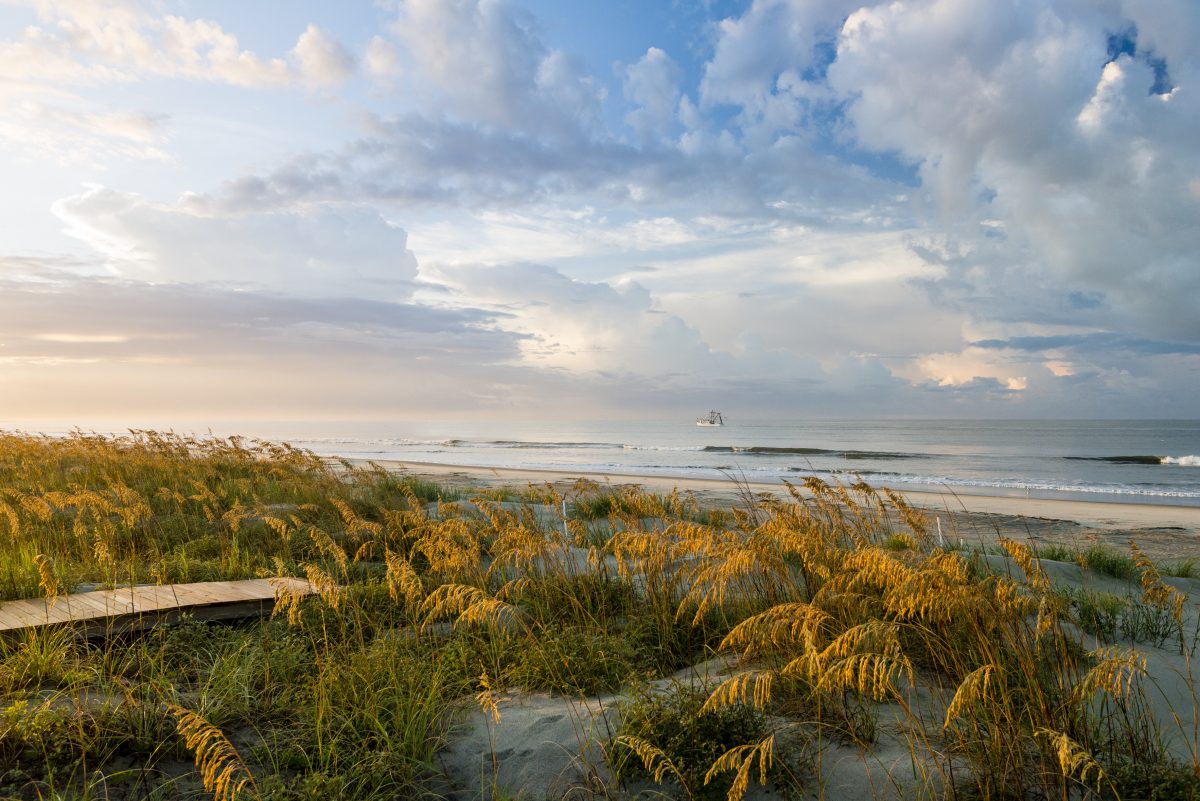 6 Reasons to Consider Living in South Carolina