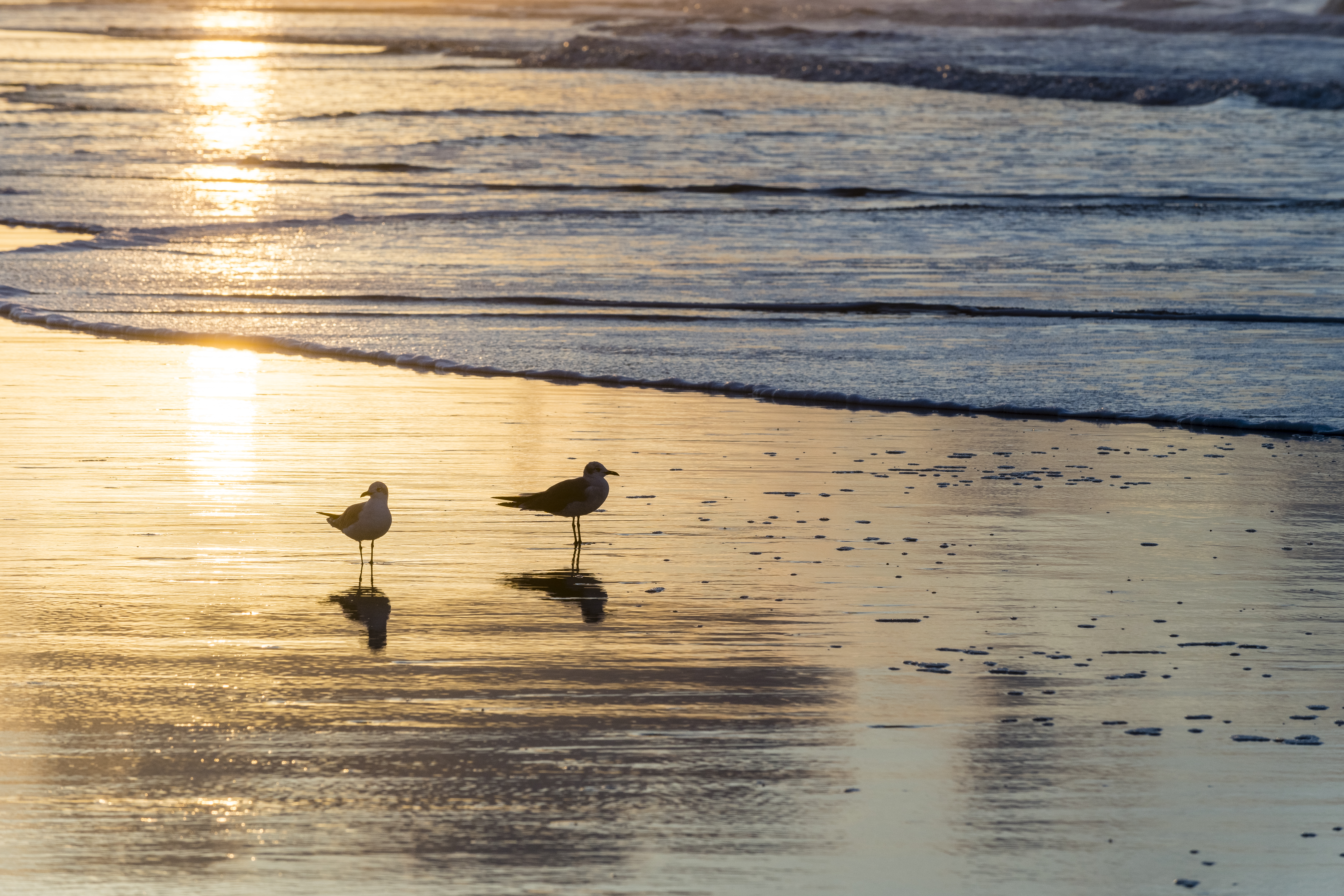 The Women of Kiawah