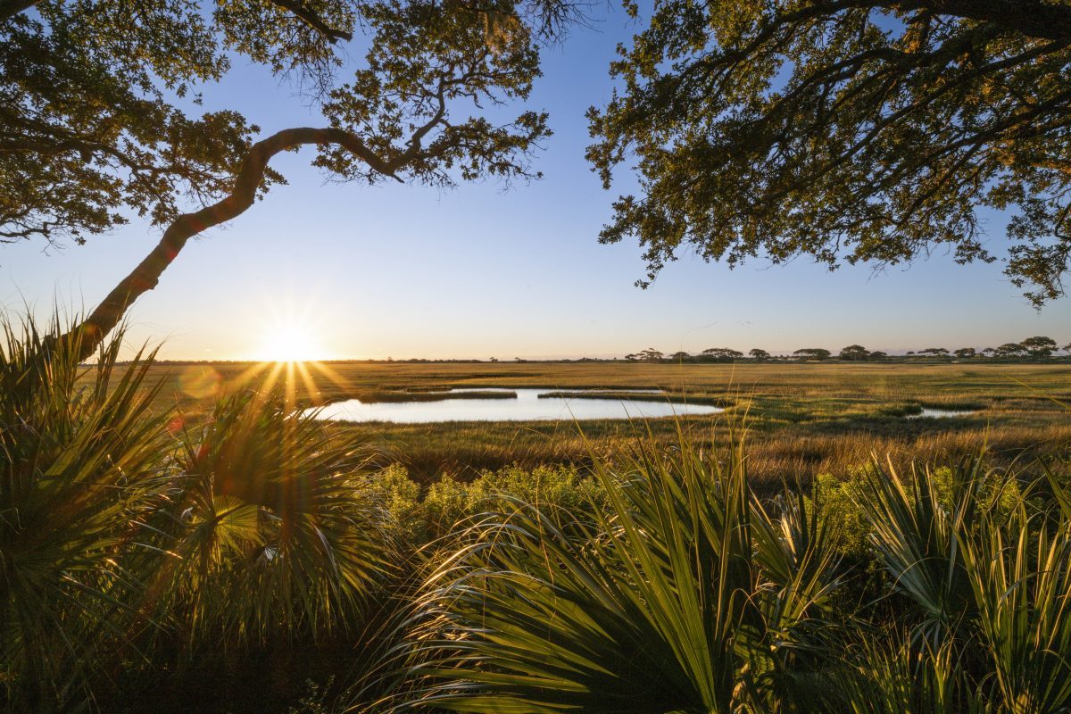 Experience Winter in Charleston and Year-Round Living in Kiawah Island