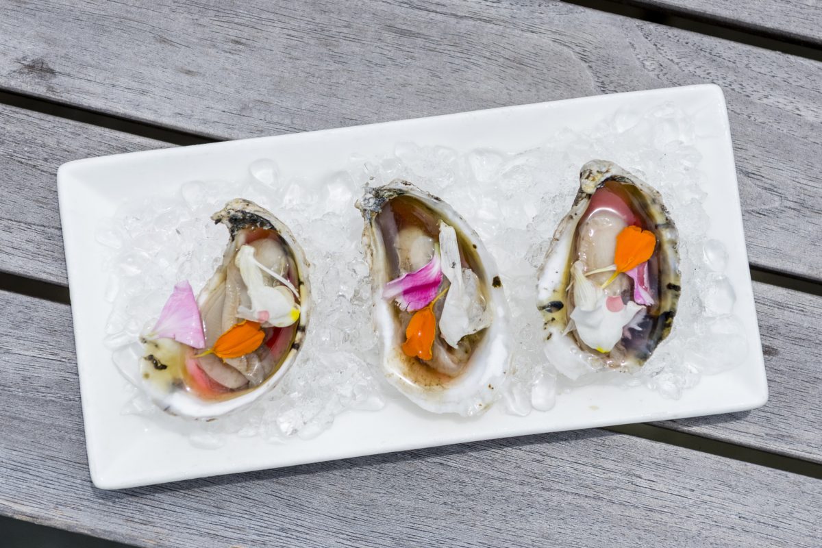 Kiawah Island winter