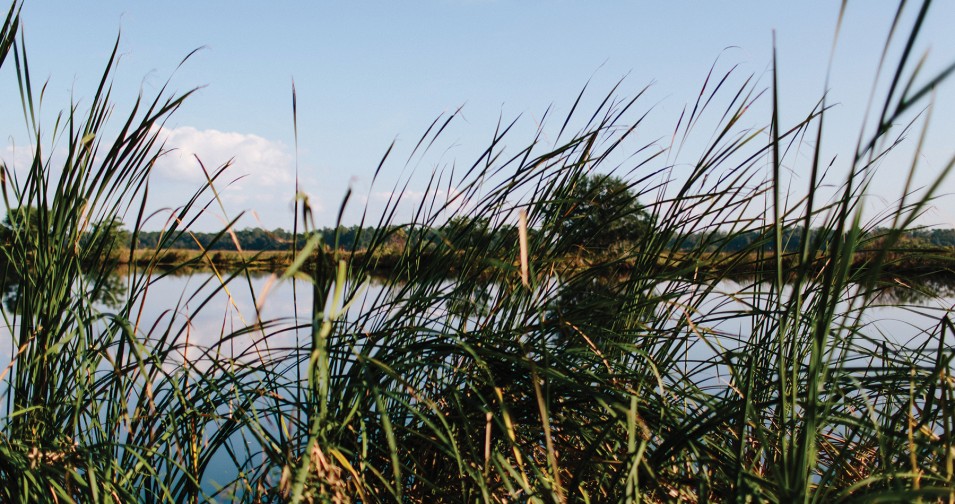 LOWCOUNTRY PLANTATIONS