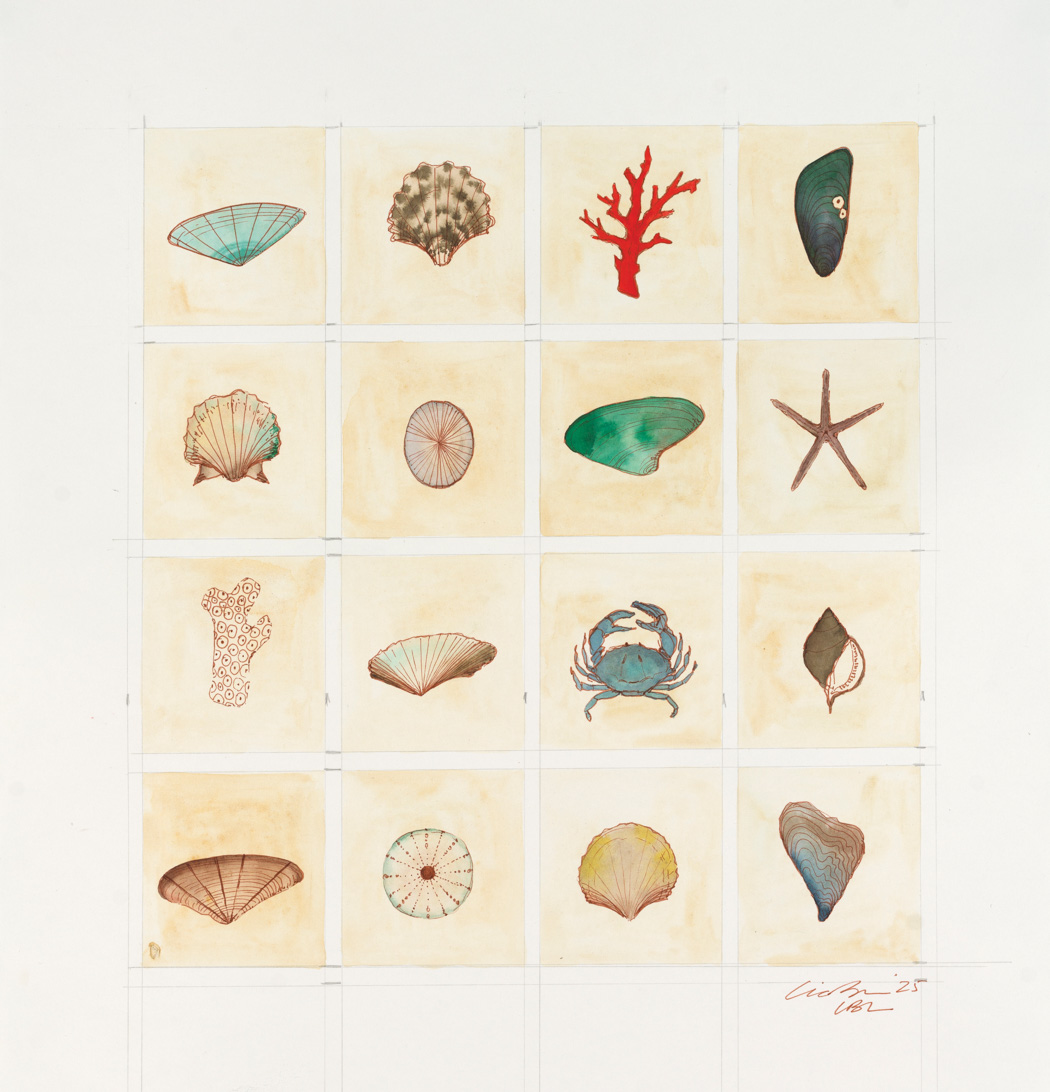 Gifts from the Sea