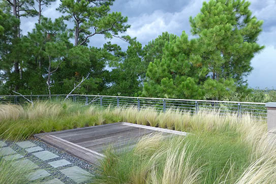 Wertimer & Associates’ landscape design work includes stunning Lowcountry rooftop gardens.