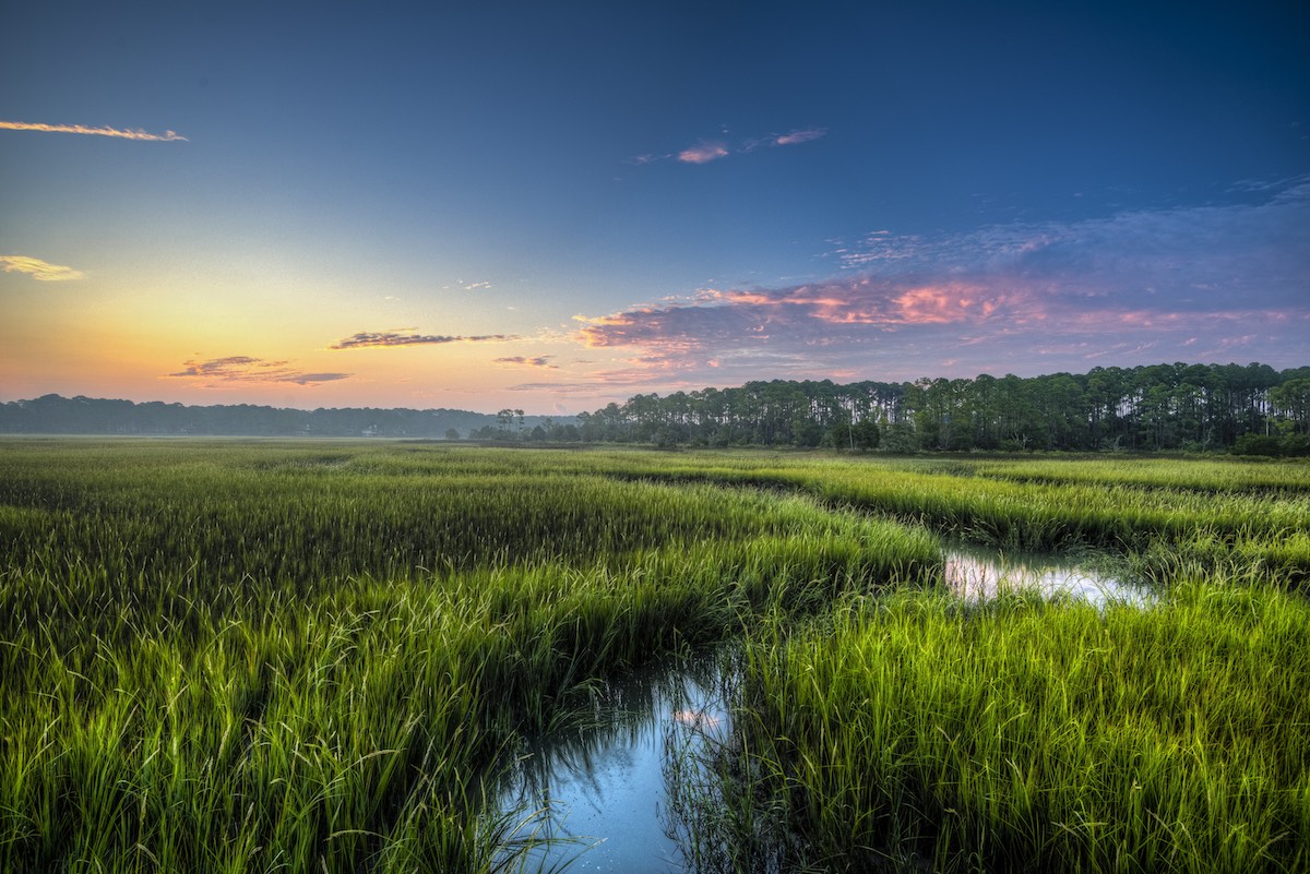 The Untouched Beauty of Kiawah Island’s Environment