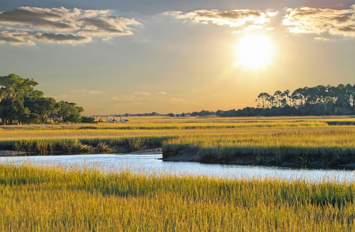 6 Hidden Gems in the South Carolina Lowcountry