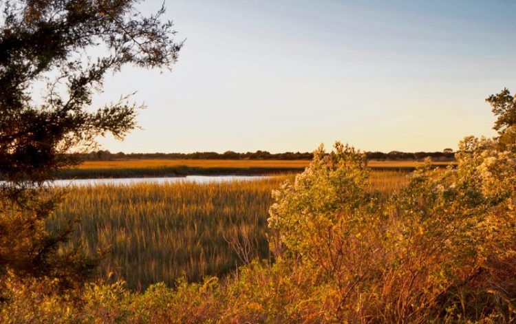 Fall in Love With Kiawah Island: Autumn Activities for the Family