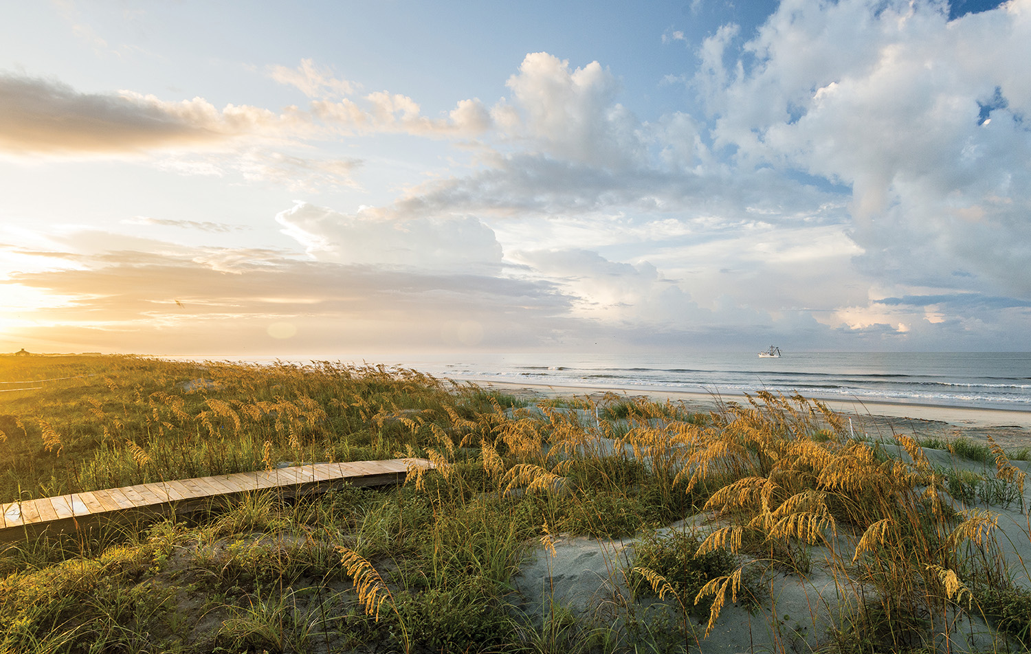 Wildlife photography at Kiawah Island