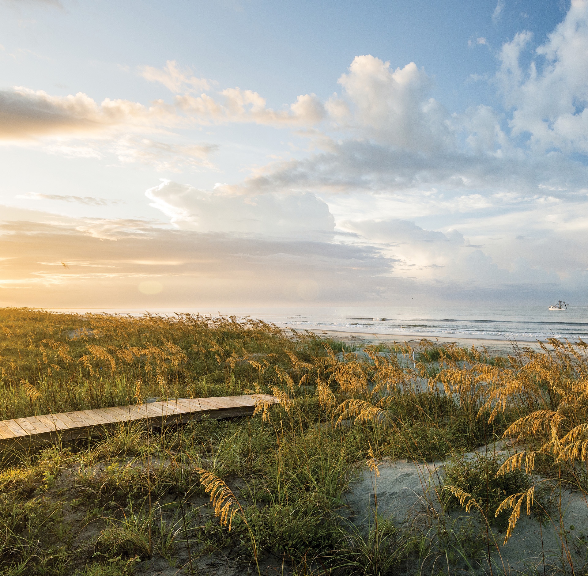 Wildlife photography at Kiawah Island