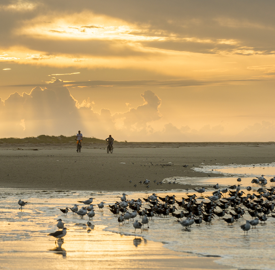 The Island Life - Outdoor Activities